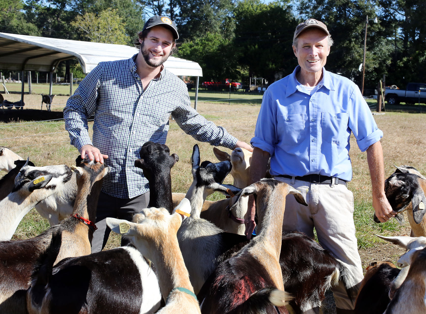 Burdern Creek Dairy